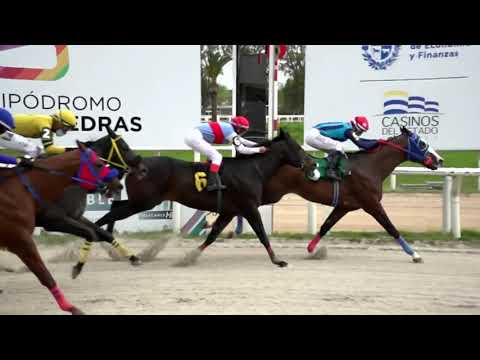 210924 c04 - EXPRESIVO FEVER - HIPODROMO LAS PIEDRAS