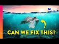 Why The Plastic Pollution Problem Is So Much Worse Than You Think