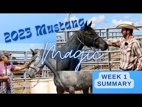 2023 Mustang Magic Trainer's Challenge: Week 1