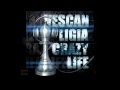 Vescan & Ligia - Peace and love (2010) 