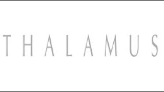 C64 Thalamus The Hits. 86-88. Their first bunch of games.