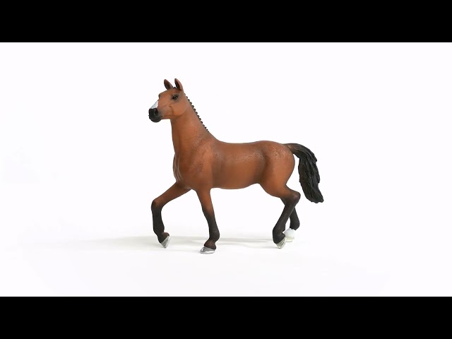 Video Teaser für 13945 Oldenburg Mare