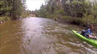 preview picture of video 'Kayaking the Pine River near Wellston, MI.'