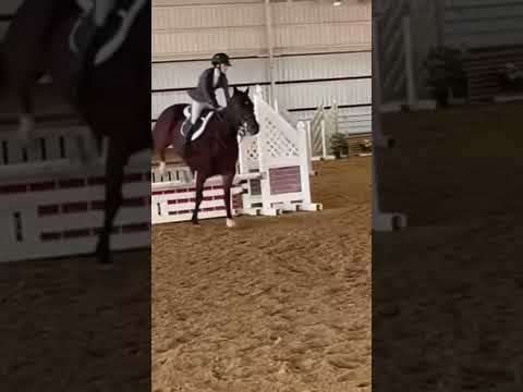 Skylar and Tobi|| #equestrian #horse #ivandrago #subscribe