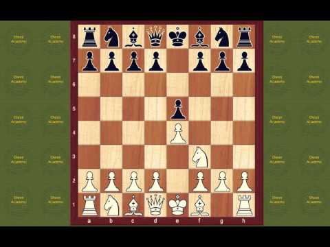 Chess Openings Book  Alapin's Opening