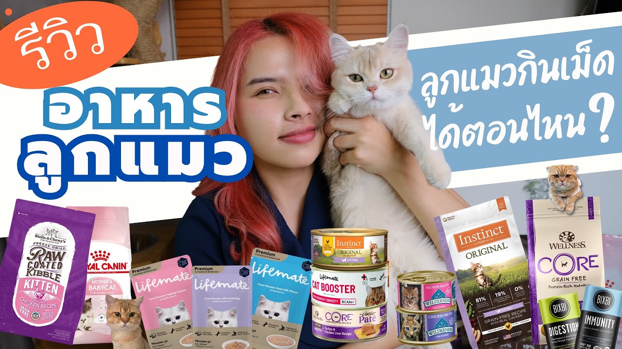 สรุปรีวิวอาหารลูกแมวฉบับเต็ม! ทั้งอาหารเม็ด อาหารเปียก และอาหารเสริม จาก Henry Done It