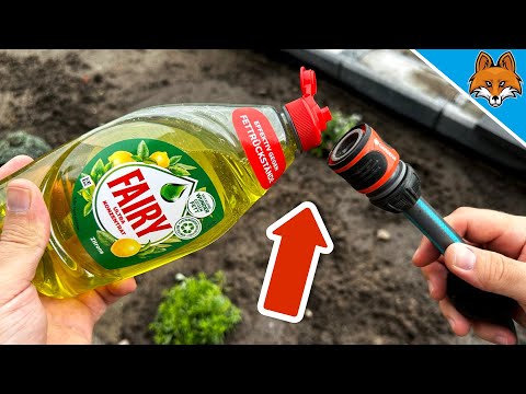 Kippe Spüli in den Gartenschlauch und STAUNE WAS PASSIERT💥(Genialer Trick)🤯