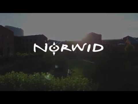 Norwid - Fahrräder für Velosophen