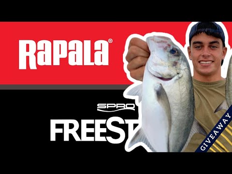 ANGELNEWS - Was ist mit Spro Freestyle los?, Brosef mit News, Rapala Back to Back, uvm...