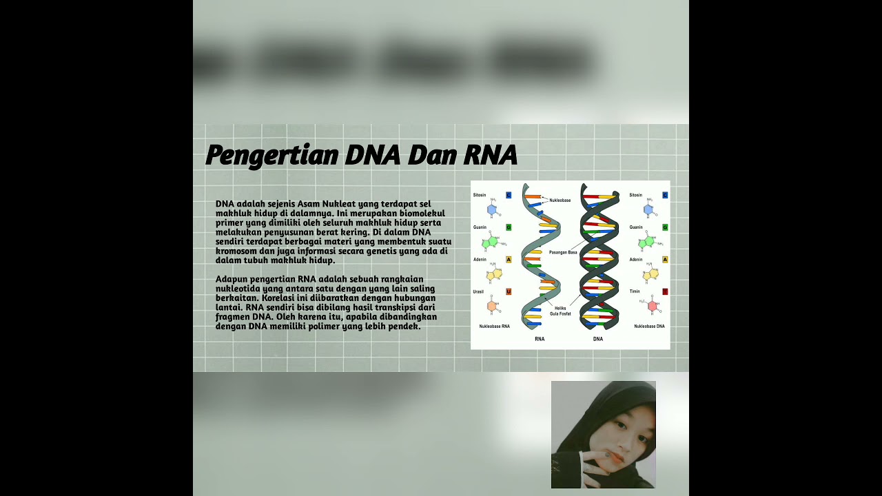 DNA dan RNA - Biokimia