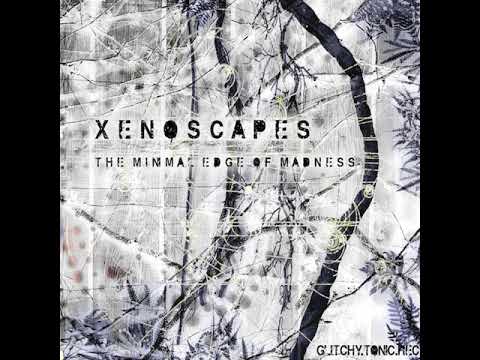 04 Xenoscapes - Blackhole Thinking
