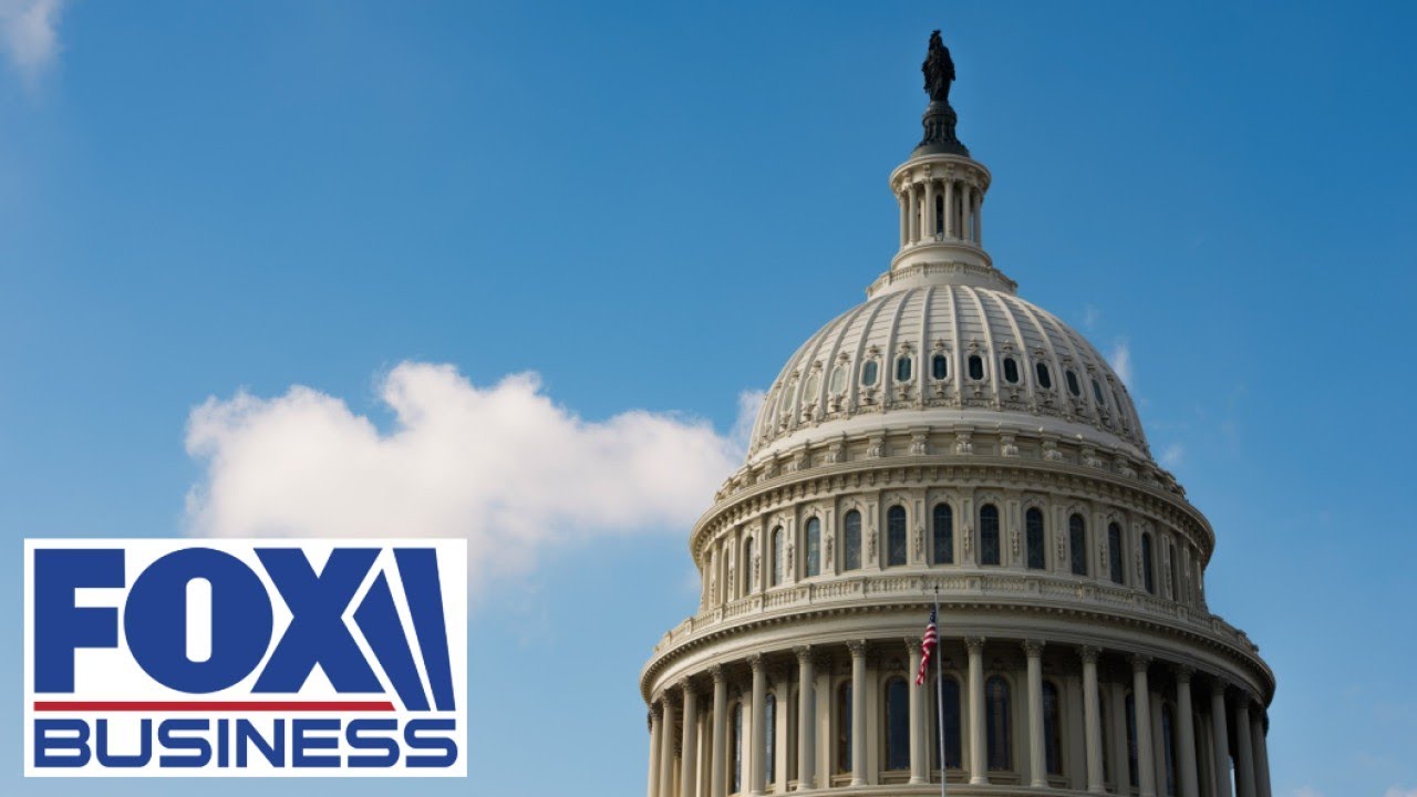 Democrats are 'scared to death' of this: GOP lawmaker