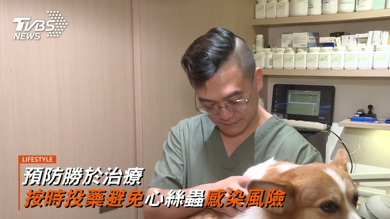 潮濕高溫毛孩易有寄生蟲 飼主預防意識提升