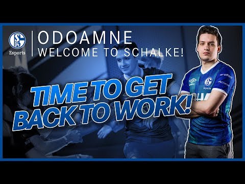Welcome to Schalke Odoamne