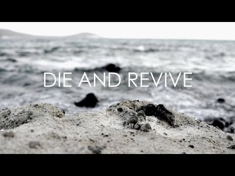 Until the Truth Comes - Die and Revive