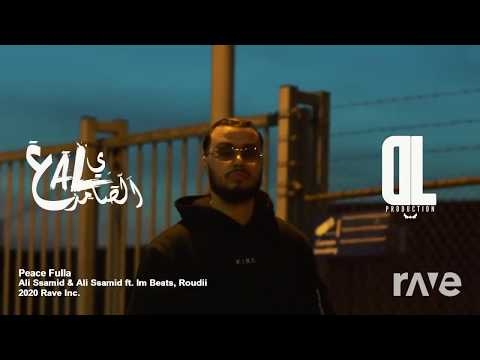 Ali Ssamid Feat Ali Ssamid (JHTM team remix) - no peace/ mr fulla