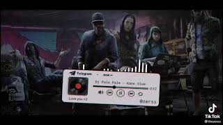 Download lagu DJ pale pale ~ Kane slow 🤟 mp3