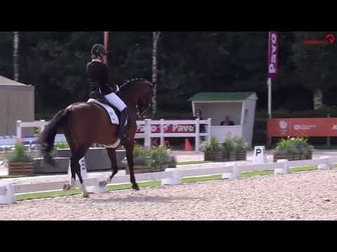 Hengstenstation van Uytert - In Style