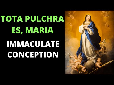 Tota Pulchra Es O Maria - Marian Hymn in honor of Our Lady’s Immaculate Conception