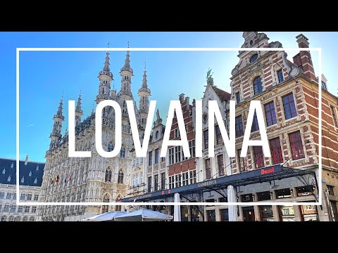 Video von Leuven (Umgebung)
