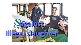 Sea Shepherd - The Cove - Marathon for animal rights