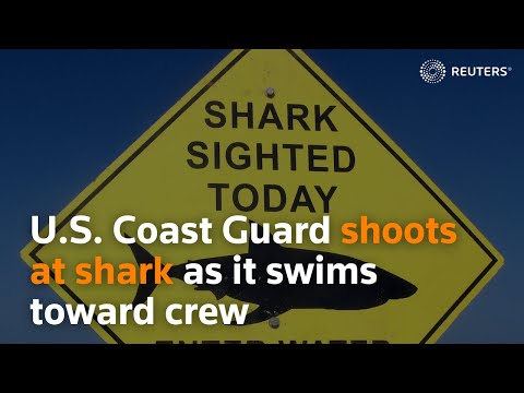 米沿岸警備隊、乗組員に接近するサメに発砲 (U.S. Coast Guard shoots at shark as it swims toward crew)