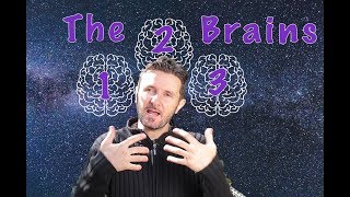 What are the 3 Brains? Good News for the Week - July 17th