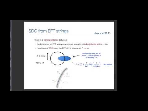 Fernando Marchesano (UAM-CSIC, Madrid) & Max Wiesner (Harvard CMSA) : 4d strings at strong coupling