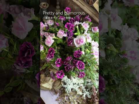 園芸 ペチュニア