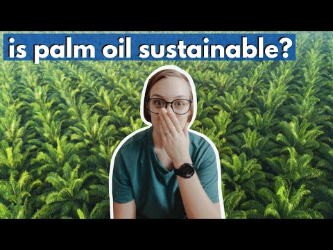 Is SUSTAINABLE PALM OIL really sustainable? Exploring RSPO certified palm oil