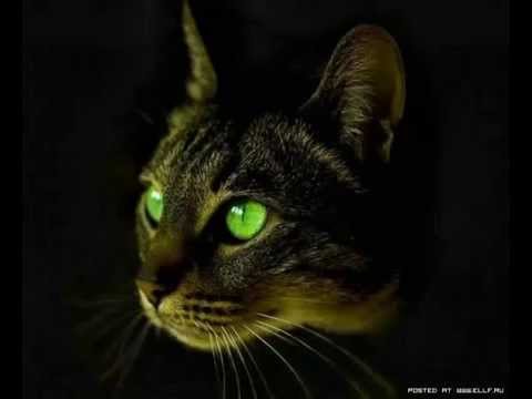 ONE SHOT: Mr. B - SHOT 21 [Unofficial Episode 021]