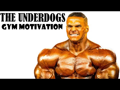 WE ARE THE UNDERDOGS - ULTIMATE GYM MOTIVATION