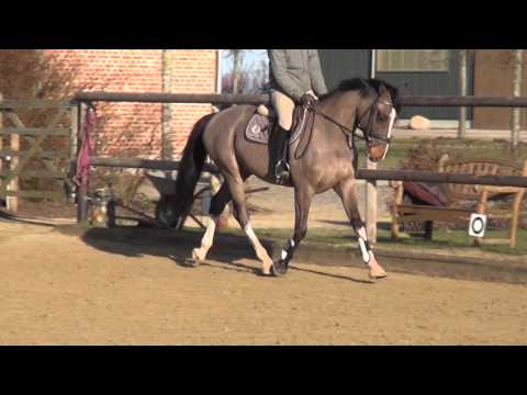 N.N. v. Cormint - Caretino, *12, Trab