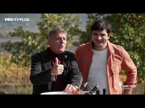 Alex Bogdan, o degustare cu peripeții la Crama Corcova_Wine Trips Romania S2E1