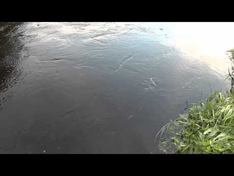 Brierley Fields, River eddies, Mytholmroyd, West Yorkshire, England