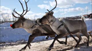 JASON D. WILLIAMS - Rudolph the Red-Nosed Reindeer - In "The Killer" Style!