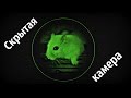 https://www.youtube.com/watch?v=6jsaHSerADg