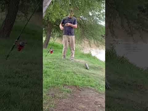 pesca en arroyo # San Nicolás # pesca #. arroyo yaguaron # Buenos Aires #. lunes de pesca