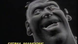 The Fatima Mansions - Shiny Happy People