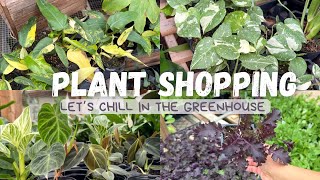 🪴1 HOUR OF PLANT SHOPPING 🌱|| Indoor and outdoor garden shopping ☀️