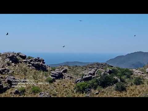 Concurrencia de Cóndores, Cerro Barroso, Nogoli, San Luis, Argentina 