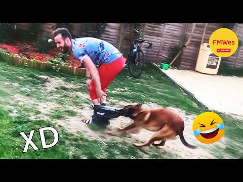 IF YOU LAUGH YOU LOSE GOD LEVEL #618 😂 THE FUNNIEST FAILS 2026
