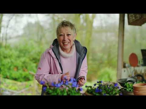 Spring Gardening with Carol Klein????Episode 1