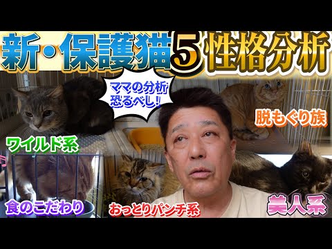 坂上パパ感服！ママの性格分析〜5匹のキャラ全公開〜