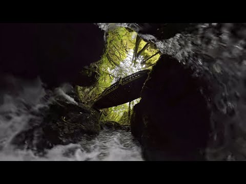 The REAL Reason to Visit Rotorua's Buried Village NOW