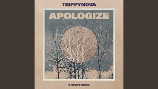 Download lagu Apologize (G-Spliff Remix) mp3