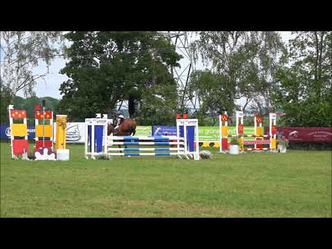 Malu (9) und Monte - A** in Limburg am 13.05.2018