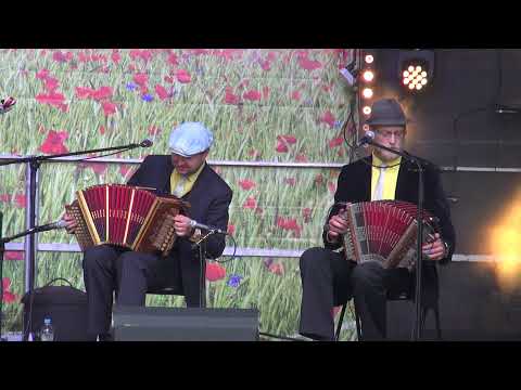 Kats kitse - KONTERBANT