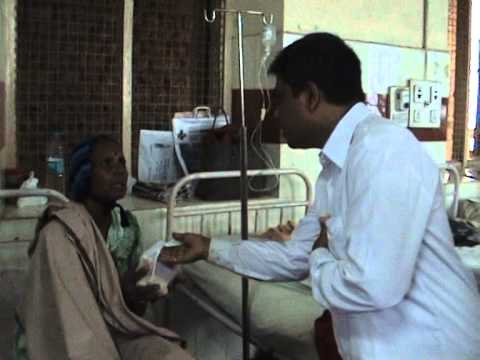 fruits distribution2