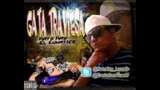 KATOMEX  GATA TRAVIESA
